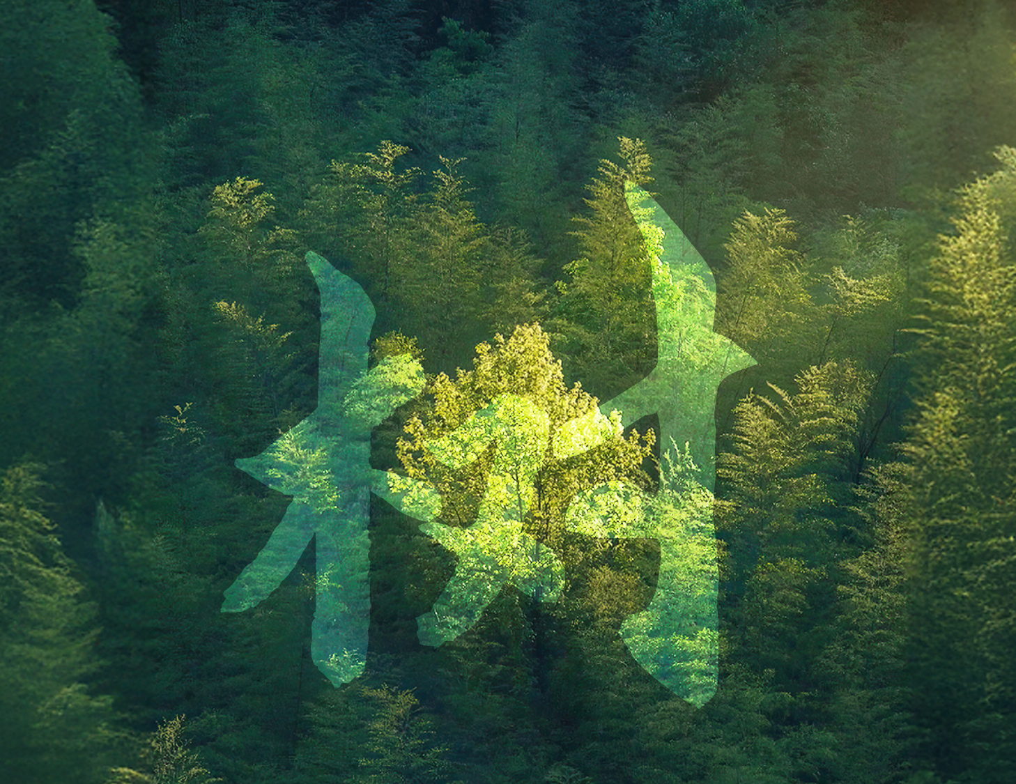 一樹一世界丨 一院載春秋